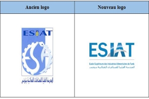 Logo ESIAT